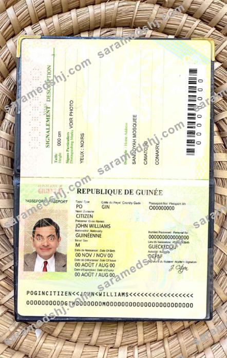 Guinea passport photo look